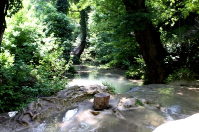 photo 676963