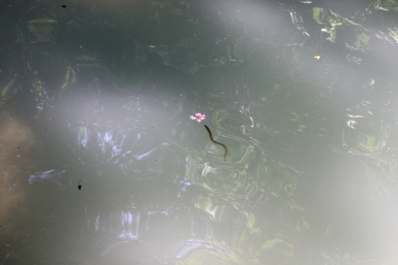 photo 676964