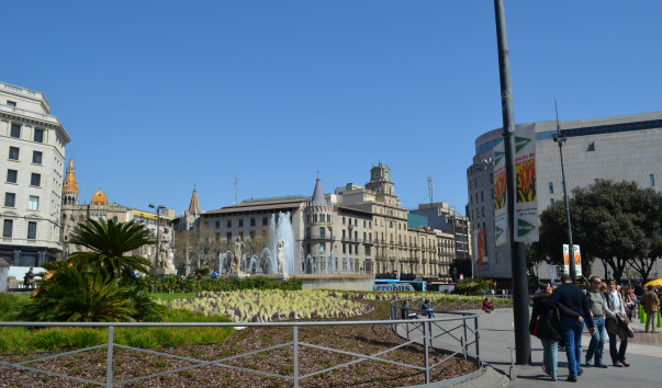 DSC_0378