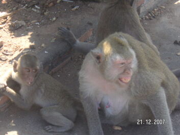 photo 1239139