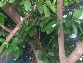 photo 1362295