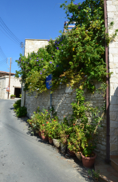 photo 1371643