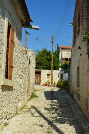 photo 1371646