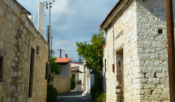 DSC_0300