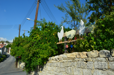 photo 1371649
