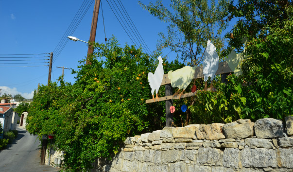 DSC_0298