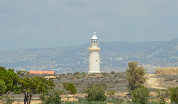 DSC_1038