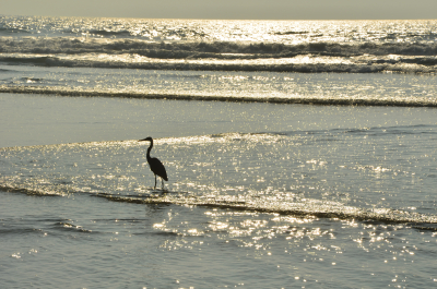 photo 1469478