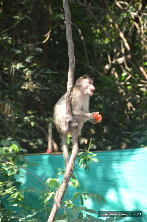 photo 1469486