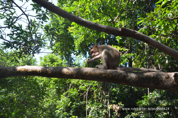 photo 1469488