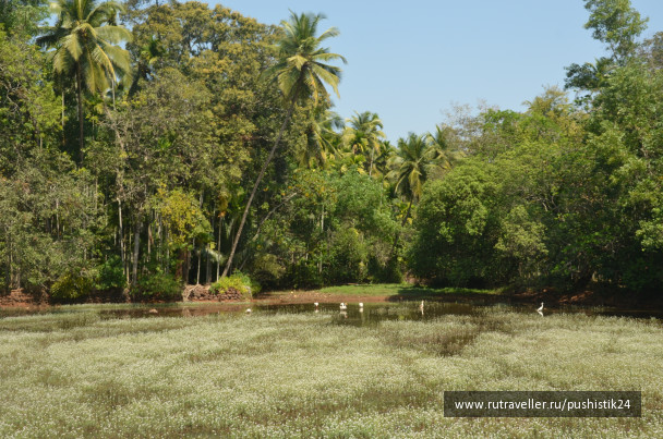 photo 1469496