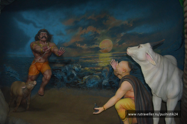 photo 1469515
