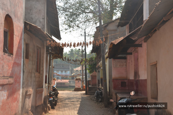 photo 1469554