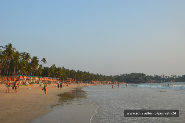photo 1469562
