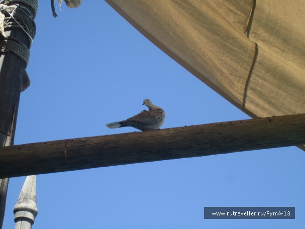 photo 913633