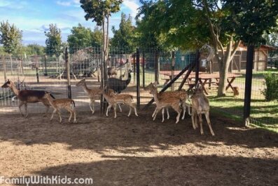 photo 1679248