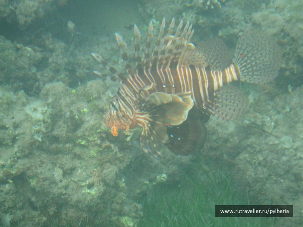 photo 144868