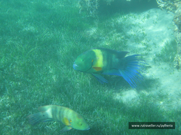photo 144873