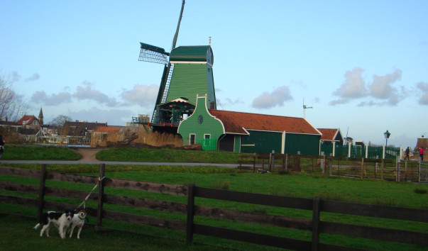 DSC08255