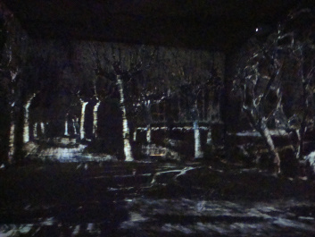photo 85719