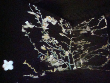 photo 85723