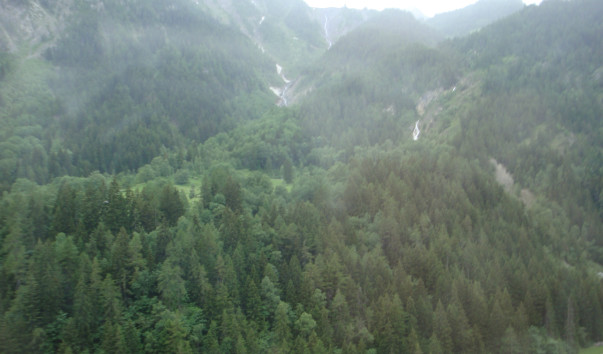 DSC03045
