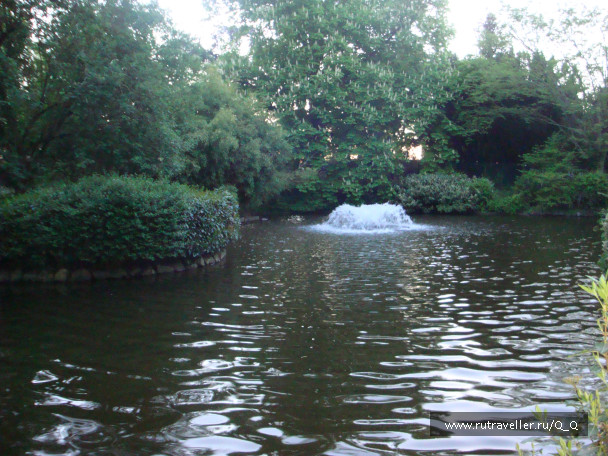 photo 364917