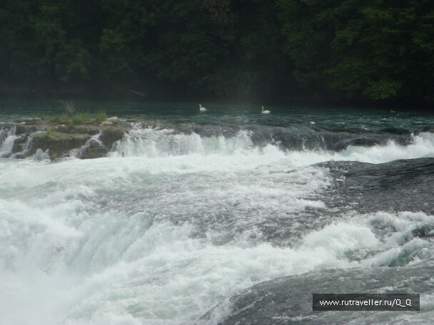 photo 26505