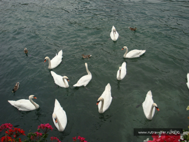 photo 26529