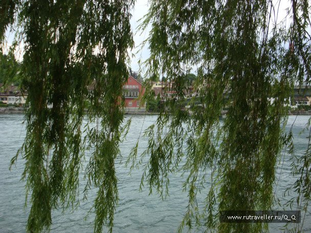 photo 26536