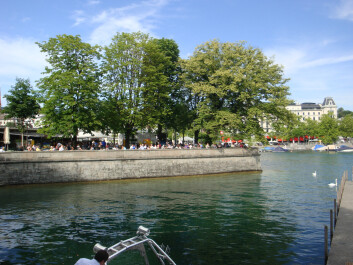 photo 29912