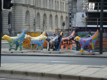 photo 27474