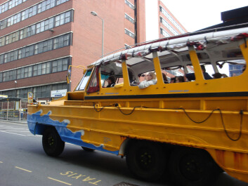 photo 27475