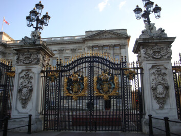 photo 27482