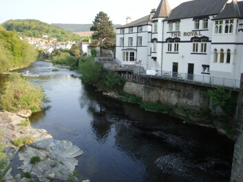 photo 27492
