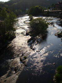 photo 27493
