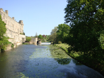photo 27529