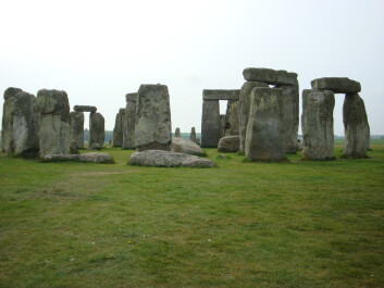 photo 27582