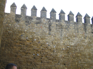 photo 28230