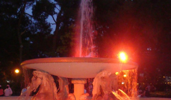 DSC03150