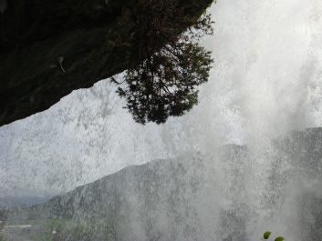 photo 462606