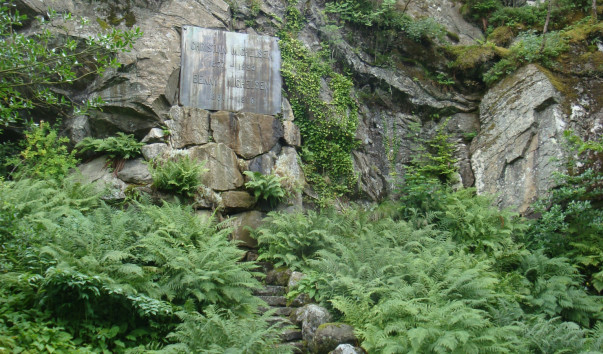 DSC05185