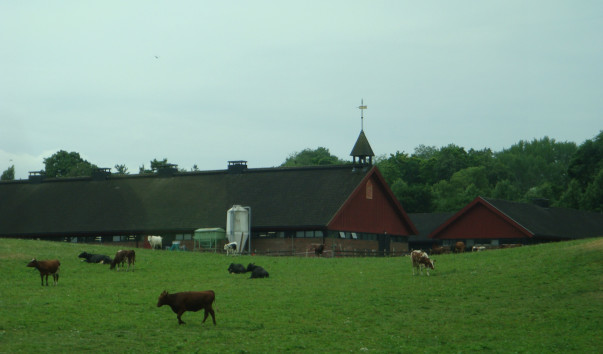 DSC04284