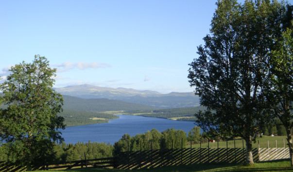 DSC04579