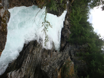 photo 463990