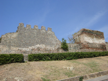 photo 519846