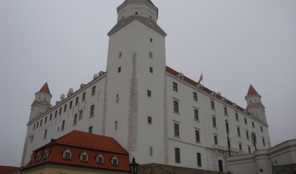 DSC06524
