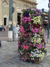 photo 795974