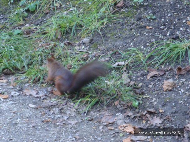 photo 855627