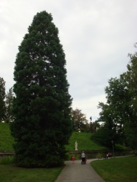 photo 856316